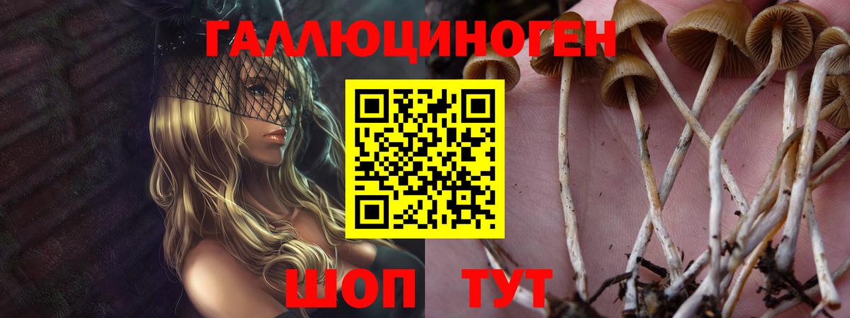 Заволжье  Псилоцибиновые грибы мухоморы  где можно купить   Вход с VPN 